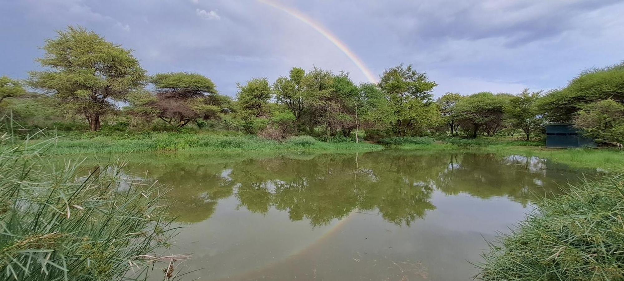 Woodlands Stop Over And Lodge Francistown Esterno foto